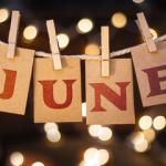 Weekly newsletter preview